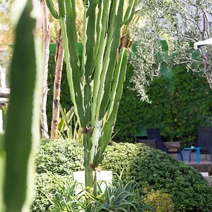 Hotell Mercure Centre Notre Dame, Nice